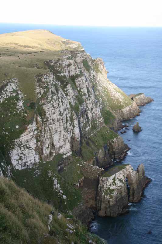 Nieuw-Zeeland 2011 - 1868